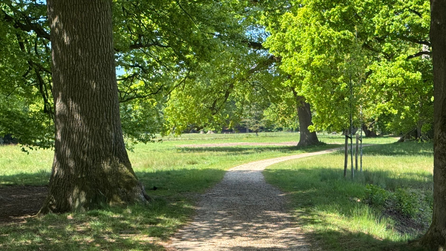 Lutte contre les nuisibles à Beauvais